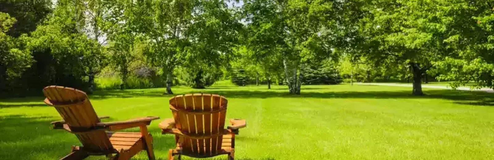 chairs-in-backyard-trees-2