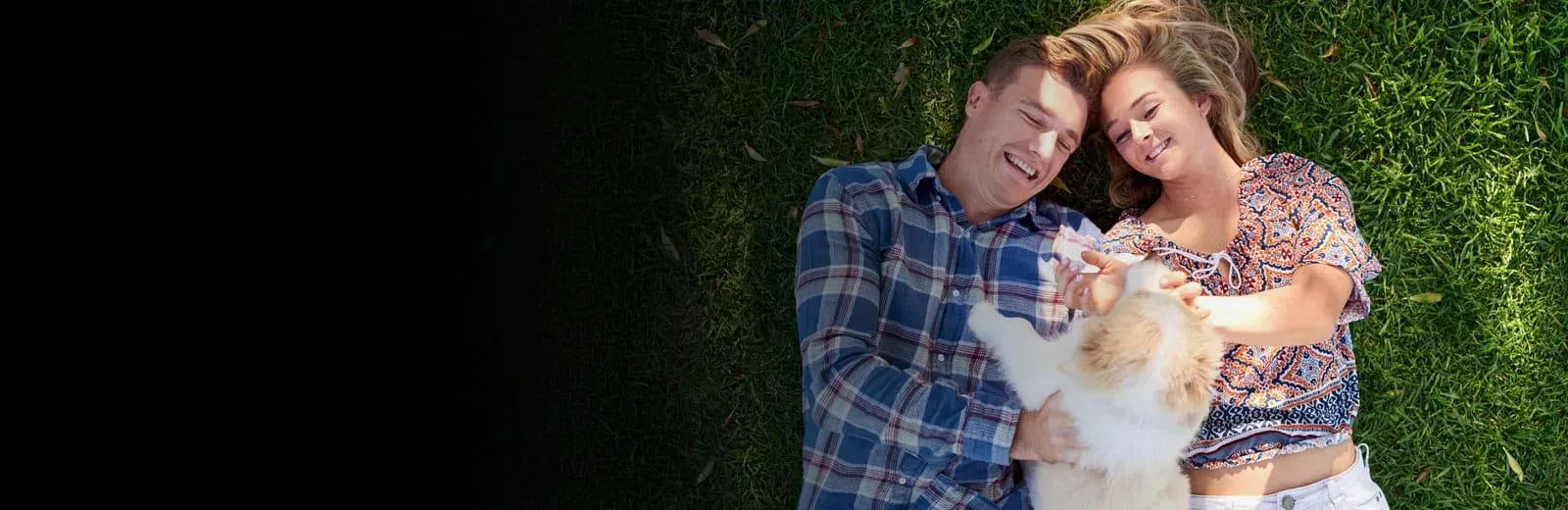 Couple playing with dog in green healthy grass