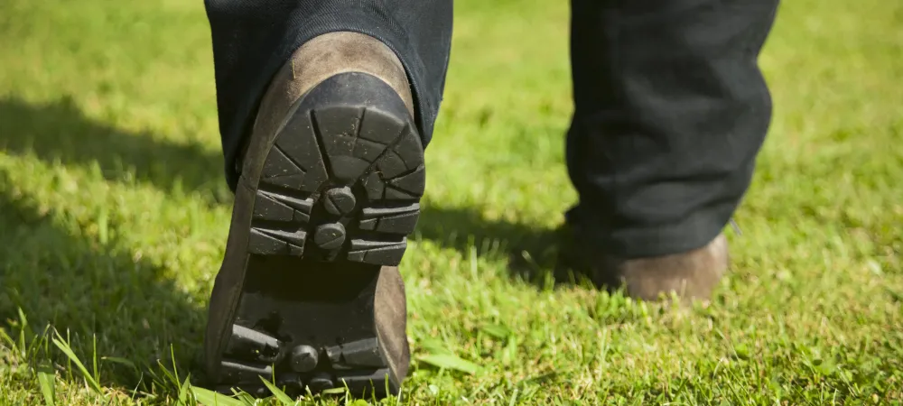 technician inspecting a lawn