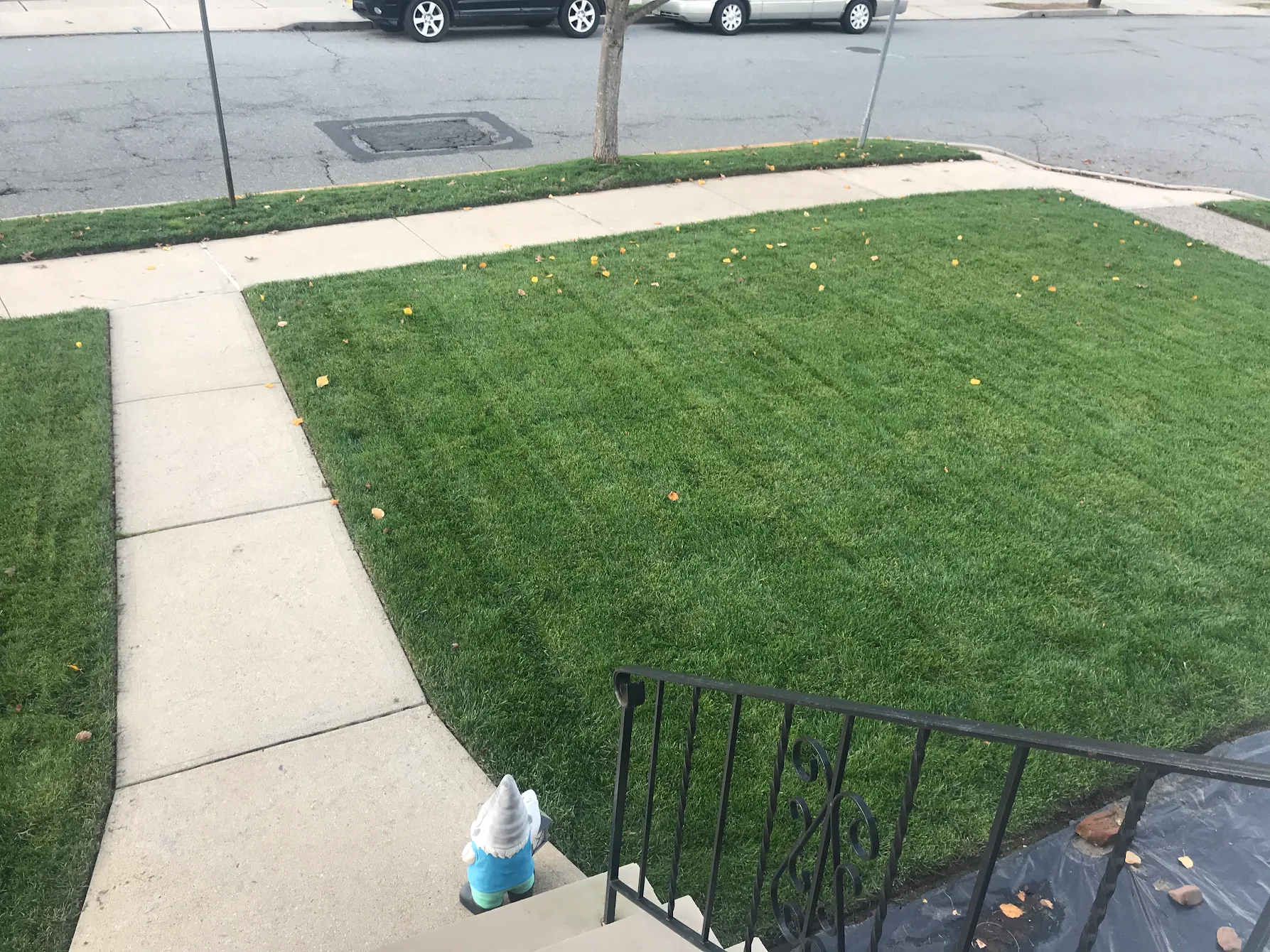 after lawn care treatment with harvest lawn care