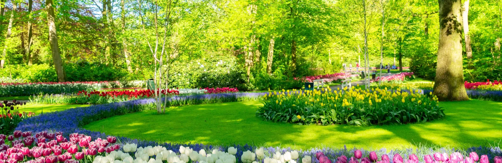 flower-bed-landscape