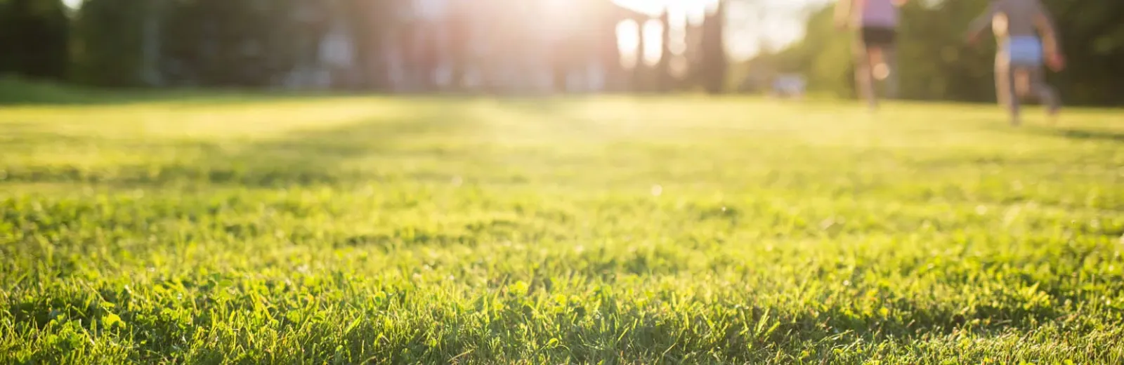 Kids playing on green grass