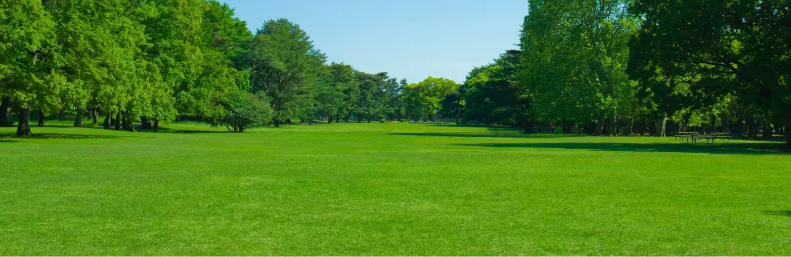 lawn care hero