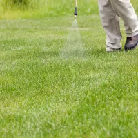 lawn that is well taken care of