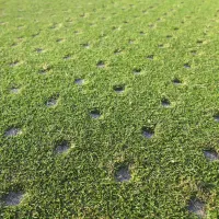 Tested and aerated lawn in New Jersey