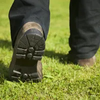 technician inspecting a lawn