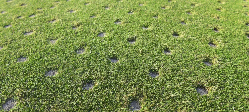 Tested and aerated lawn in New Jersey