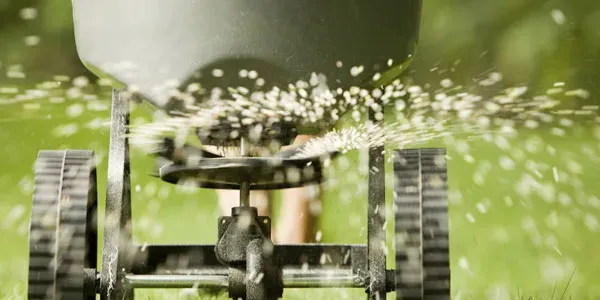Grass seed spreader